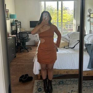 Cult Gaia One-Shoulder Brown Dress